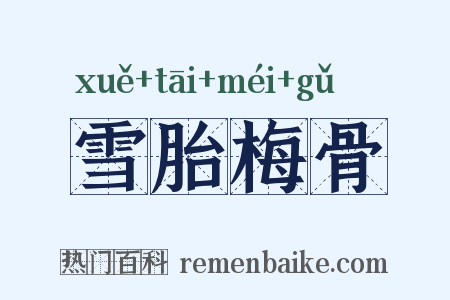 雪胎梅骨是什么意思的图片